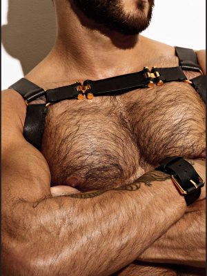 Leather Chest Harness