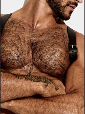 Leather Shoulder Harness