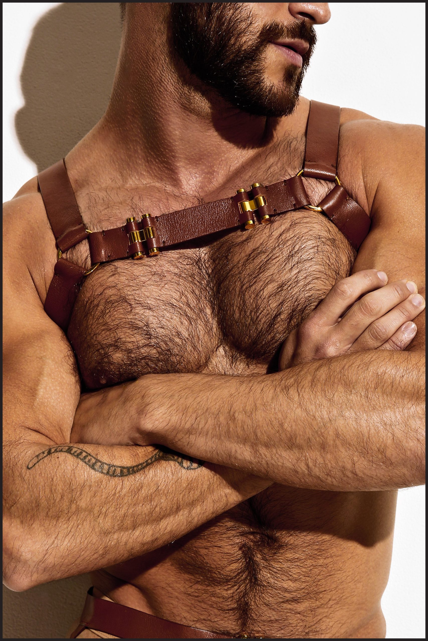 Leather Chest Harness
