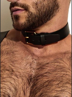 Leather Neck Harness